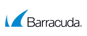 Barracuda Partner Inforges Logo | Parlem Empreses