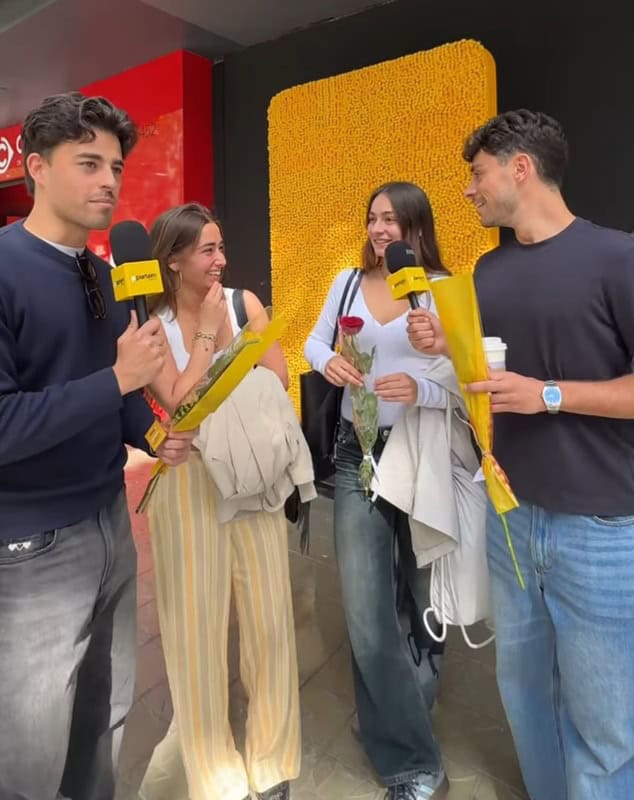 San Jordi | Parlem Telecom